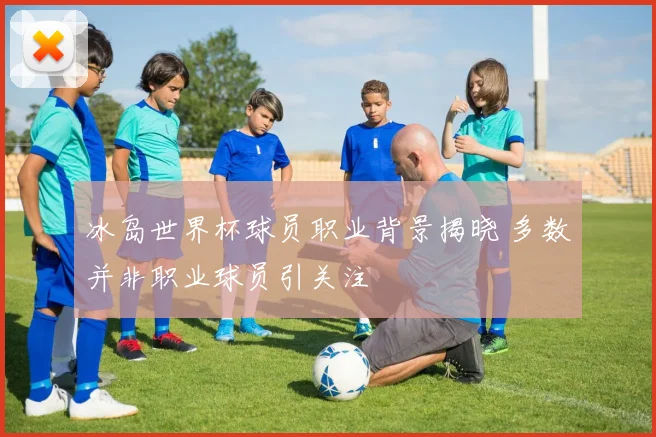 冰岛世界杯球员职业背景揭晓 多数并非职业球员引关注